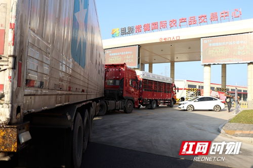 常德 菜篮子 升级了 甘露寺大市场关闭运营,转战常德国际农产品交易中心