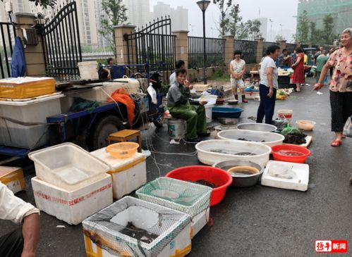 服了 绍兴一小区凌晨三点摆摊卖菜 住户搬家逃离