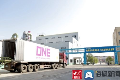 无棣县年产10万吨金红石型钛白粉等量搬迁入园及综合技术改造项目